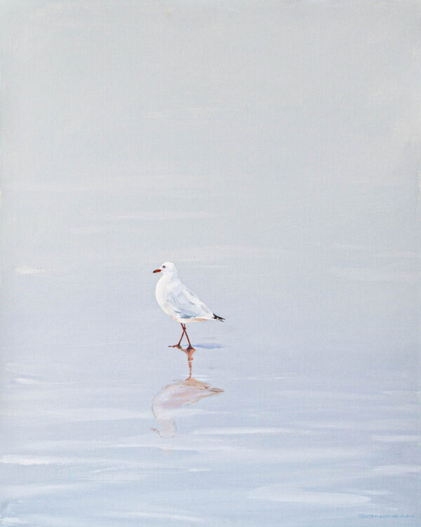 Seagull Reflection - SOLD!
