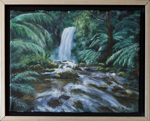 Otways Stream