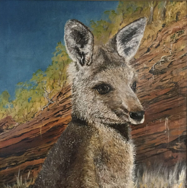Wallaby 1