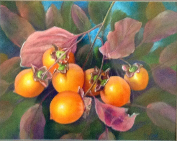 Persimmons