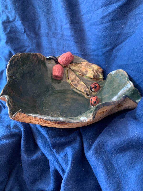 Lady bugs bowl