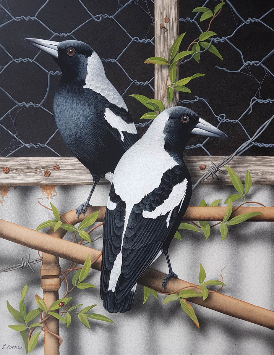 entry_40_Magpies_Lyn_Cook