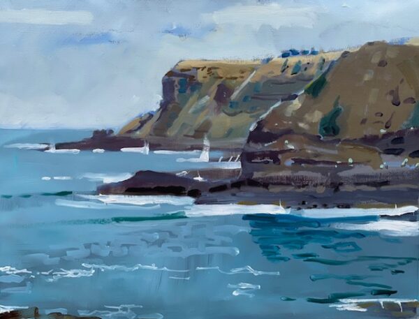 Coastal View, Cape Schank I - SOLD!