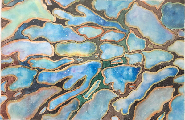 Kelpy Haze and Manta Rays