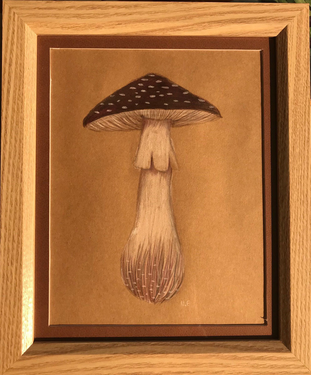 Mait's Rest Mushroom SOLD!!