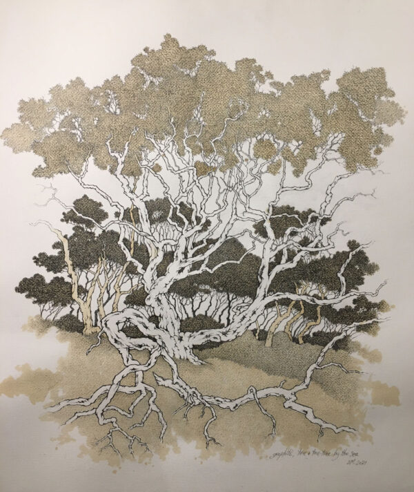 Moonahs, Graphite, Tea and Tea-tree by the Sea